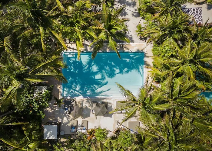 Coral Breeze Retreat
